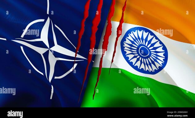 nato in india