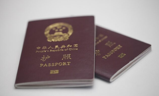 list of countries chinese passport without visa