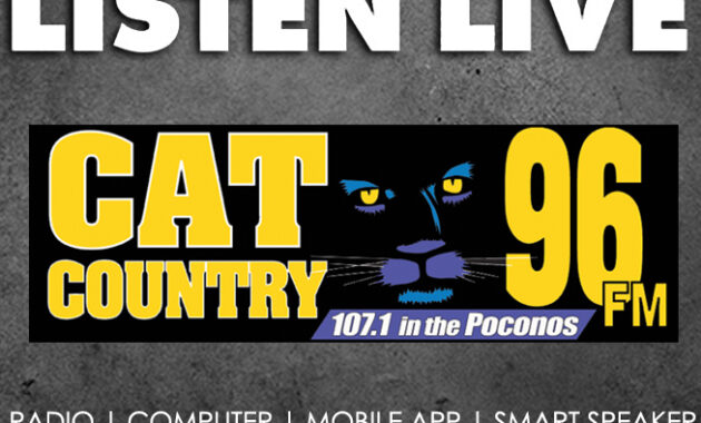 cat country 107.3 listen live