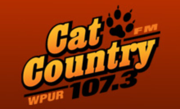 107.3 cat country listen live